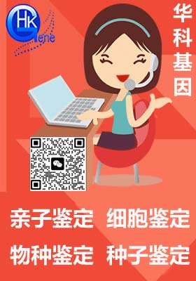 个体识别_华科基因亲子鉴定